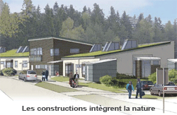 Ecologie, développement durable Ecologie, développement durable